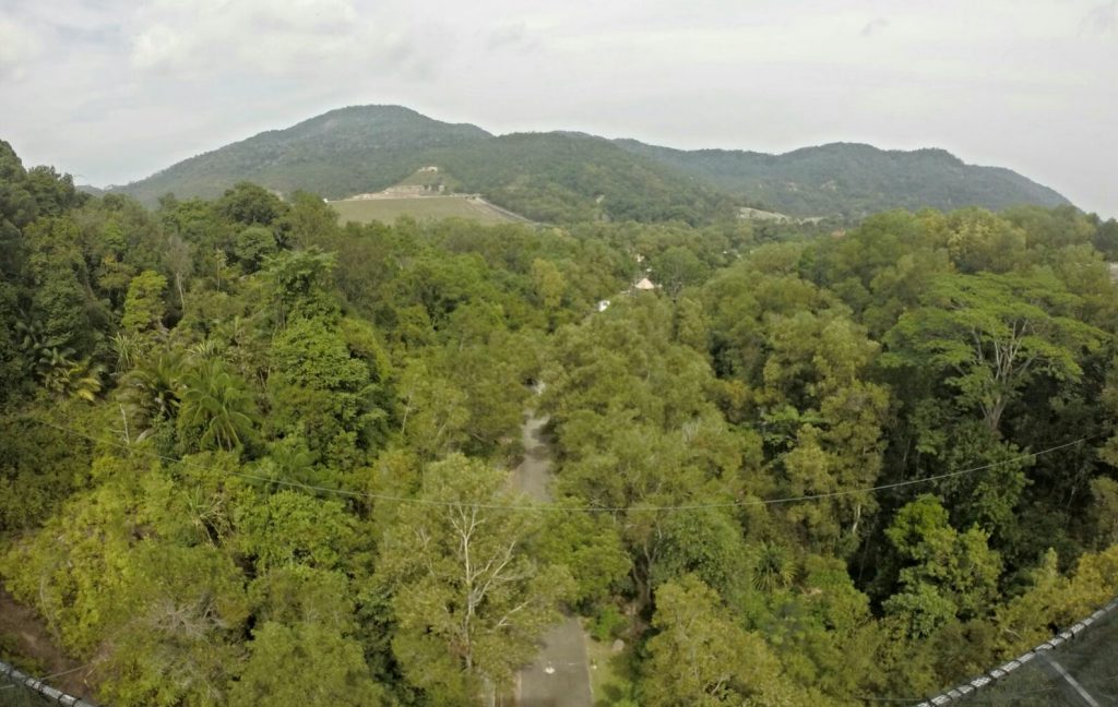 Aussicht vom höchsten Turm des "Flying Lemur"
